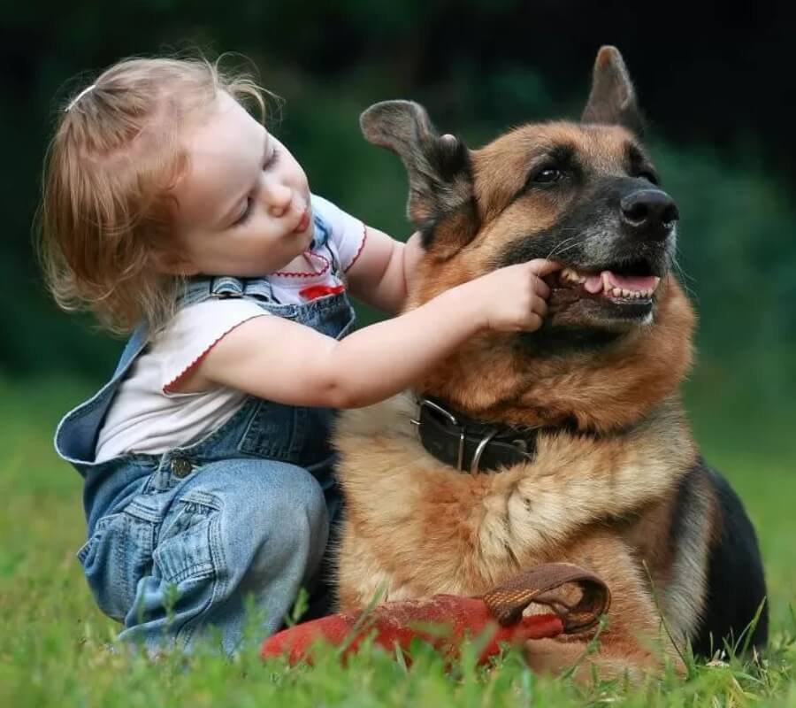 Статья 20. Карт. 4 (900х800).jpg Статья 20. Карт. 4 (900х800).jpg