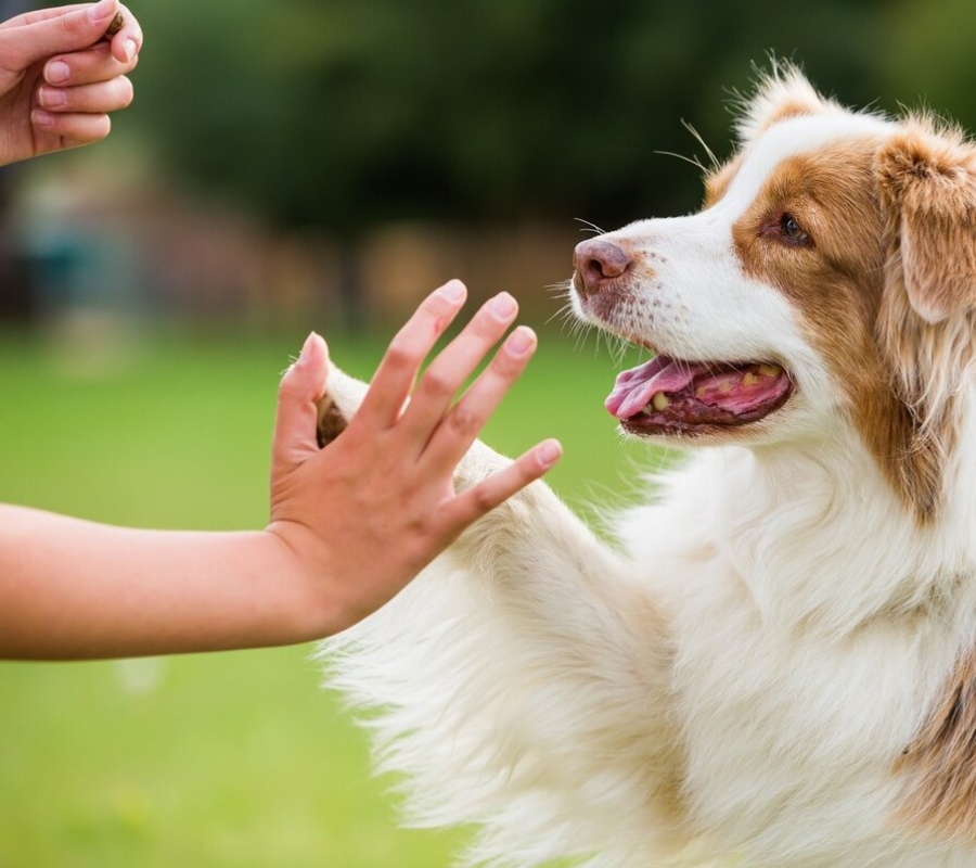 Статья 16. Карт. 2 (900х800).jpg Статья 16. Карт. 2 (900х800).jpg